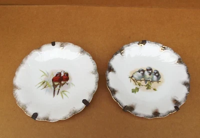2 anciennes assiettes porcelaine décor d'oiseaux mésange oiseau des îles Limoges - Photo 1/4