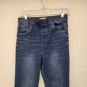 FREE PLANET Girl's Jeans Blue Size 16 Youth Denim Jeggings Skinny Casual Pants - Picture 1 of 17