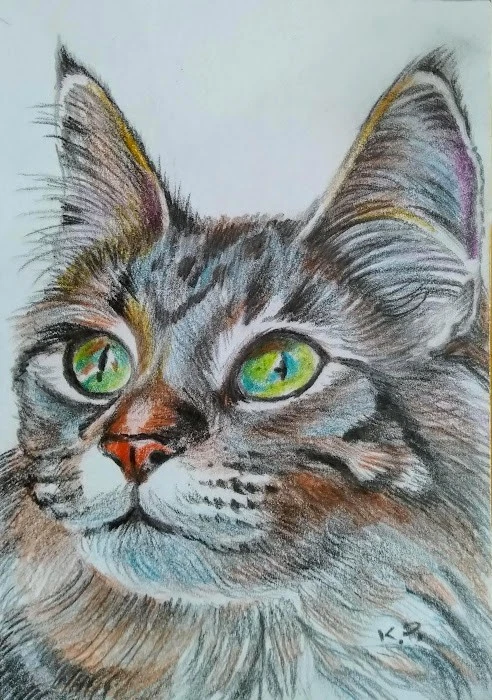 ACEO cat watercolor pencil by the author original 3,5"х2,5" 9x6cm not print - Image 1 of 1
