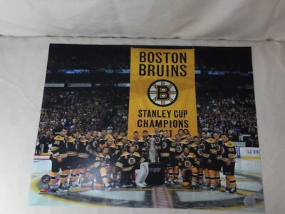 Boston Bruins 2011 Stanley Cup Champions Raising Banner Nite 16x20 foto Foto 1 de 3