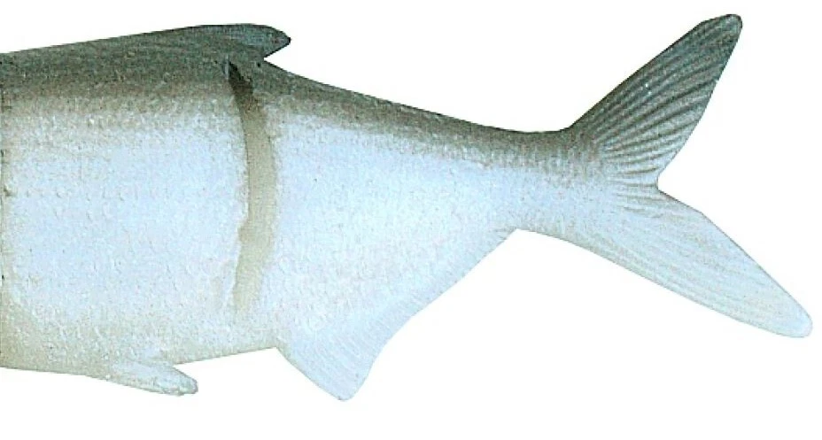 ✅ Castaic Hard Head Gizzard Shad Ersatzkörper, Made in Mexico!✅ - Bild 1 von 1