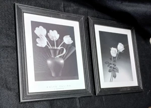 LOT 2 IMPLUSE DESIGNS 9 3/4" X 11 3/4" WHITE TULIPS & ROSES BLACK FRAMES - Picture 1 of 5
