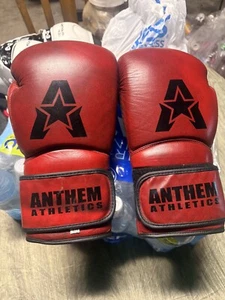 Anthem Athletic Stormbringer Boxing Gloves - Picture 1 of 3