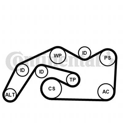 CONTINENTAL CTAM Keilrippenriemensatz für Audi A6 Allroad 4FH C6 4F5 4LB - Bild 1 von 2