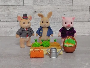 3 Calico Critters Peter Rabbit Figuren & Gartenzubehör Konvolut Sylvanian - Bild 1 von 10