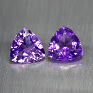 5.46Ct (2Pcs) Trillion Cut_ Amazing Natural Purple Amethyst _ Brazil - Picture 1 of 1
