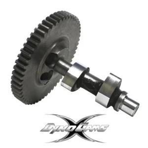 ÁRBOL DE LEVAS RACING GO KART DYNO ANIMAL MODIFICADO LIBERACIÓN DE COMPRESIÓN 0,310" ELEVADOR - Imagen 1 de 1