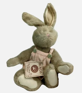 Boyds Bunny Head Bean Dippy D Hoplebuns 904142 10" Etiquetas Doblado Liebre Conejo - Imagen 1 de 7