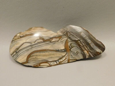 Blue Biggs Picture Jasper Polished Collector Rock Oregon #O1 - Image 1 of 4