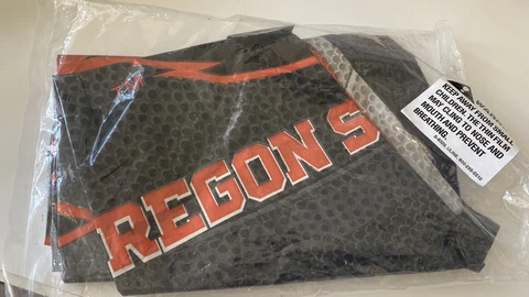 OREGON STATE BEAVERS FLAG INFLATABLE BALLOON Cover