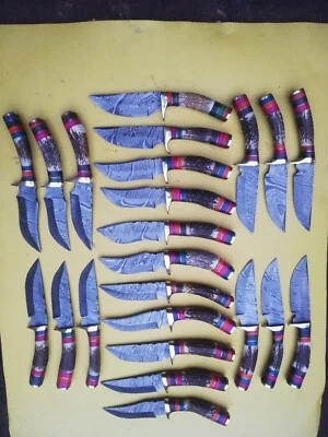 LOT OF 20, 6 inches Handmade Damascus Steel Skinner Knives in Stag horn W/Sheath - Image 1 of 4