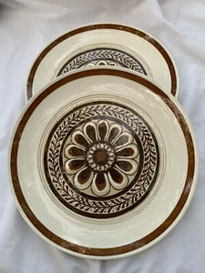 2 Royal China Cavalier Ironstone Dinner Plate Brown Daisy Flower Floral Boho 10" - Picture 1 of 5