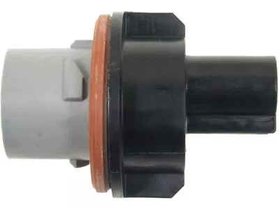 Enchufe de bombilla de estacionamiento de neón para Dodge 2000-2005 SMP 66935YQYX 2001 2002 2003 Foto 1 de 2