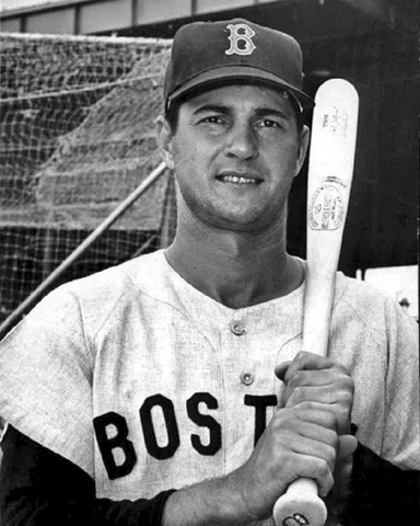 Boston Red Sox CARL YASTRZEMSKI 8x10 Photo Baseball Print Portrait Poster HOF 89 Cover