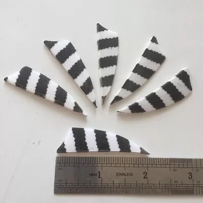 50PCS 2inch Striped White Shield Fletches Feathers Fletching RW LW - Image 1 of 4