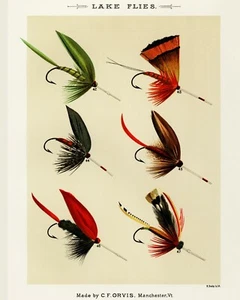 Print or Canvas  - Lake Flies  by Mary Orvis Marbury - Picture 1 of 1