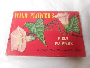 1945 Wild Flowers Field Flowers T H Everett Whitman Publishing Hardcover #2004 - Picture 1 of 12