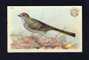 Tarjeta comercial no deportiva c1915, Arm & Hammer-Dwight Soda, remolque de cola verde - Imagen 1 de 2