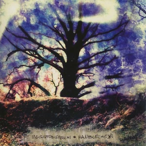 Labirinto Di Specchi - Hanblecheya / Italian Prog Rock Lizard Records Near MINT - Bild 1 von 3