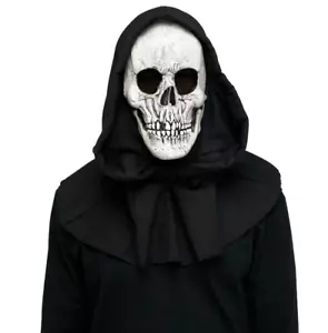 Hooded Reaper Mask with Shroud - Picture 1 of 1
