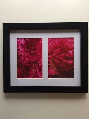 Pretty Pink Peonies Framed Flower Photos 11.25" x 9.25" - Image 1 of 4