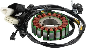 WOOSTAR 18 bobinas 13 cables estator magneto repuesto para KLX250 2008-2014 KLX2525 - Imagen 1 de 8