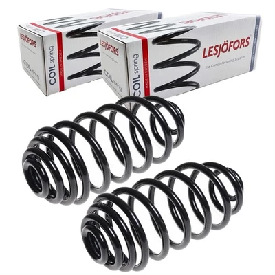 2X LESJÖFORS Chasis de Muelles Trasero Para Renault Kangoo Izquierda + Derecho - Imagen 1 de 3