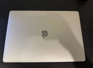 Original Apple MacBook Pro Screen 15" A1990 2018 2019 LCD Assembly SILVER - Photo 1/4