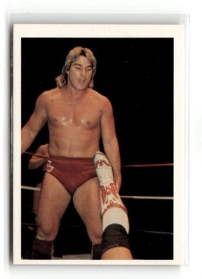1988 Wonderama WCW NWA - Terry Taylor #22 - Image 1 of 2