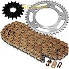 Gold O-Ring Drive Chain & Sprockets Kit for Triumph Bonneville 800 T100 2002-05