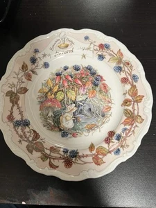 Royal Doulton Brambly Autumn Salad Plate - Picture 1 of 15