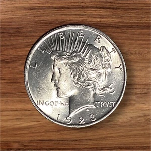 Dólar de plata de la paz 1923-P sobre espejo sin circular prueba-como CW Luster - Imagen 1 de 2