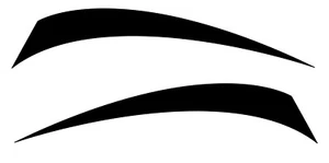 2 RV Trailer Camper Forest River Vengeance Graphics Decals -2441 - Imagen 1 de 1