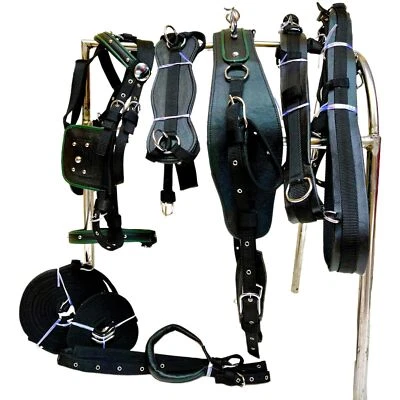 ERSTAUNLICHES PFERDEZEUG Schwarzer Nylon-Fahrgeschirr mit olivgrünem Besatz