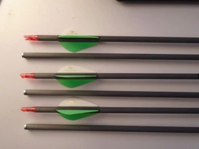 Gold Tip Hunter 400 Flechas (1/2 Docena) ¡NUEVO! Foto 1 de 2