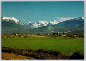 Farmland, Chilliwack, Fraser Valley, British Columbia, Canada, Chrome Postcard - Bild 1 von 2