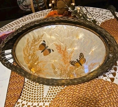 Bandeja de mimbre/madera con tapa de vidrio, flores secas y mariposas 17 X 10 Foto 1 de 4