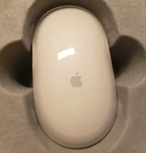 Apple Wireless Mouse Model M9269Z/A A1015 Bluetooth with Box Docs & CD - Picture 1 of 16