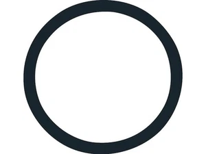 Thermostat O-Ring For 1967-1972 Volvo 1800 1970 1968 1969 1971 KF981HT - Picture 1 of 1