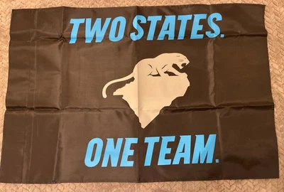 Carolina Panthers Bandera de Nylon de 2 Caras Propietario PSL/Dos Estados Un Equipo 2x3 pies Foto 1 de 2