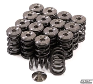 GSC P-D Dual Spring Set with Ti Retainer for Honda B-Series VTEC Platform - Picture 1 of 1