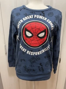 Marvel The Amazing Spider-man Sweater Kids Size L With Great Power - Picture 1 of 7