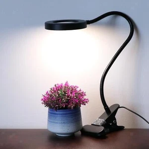 Adjustable Magnifying Glass Lamp Swing Arm Lamp Industrial Magnifier - Picture 1 of 7