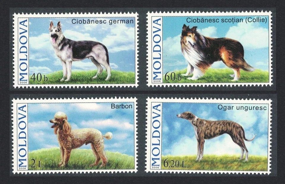 Moldova Dogs 4v 2006 MNH SG#557-560 Foto 1 de 1