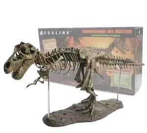DlY großes T Rex Tyrannosaurus Rex Skelett Dinosaurier Tiermodell Sammler Super - Bild 1 von 12