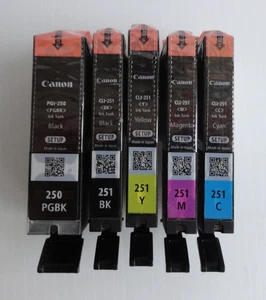 5er Set, Original Canon 250 PGBK & 251 B/M/C/Y Tintenpatronen PGI-250 CLI-251 - Bild 1 von 6