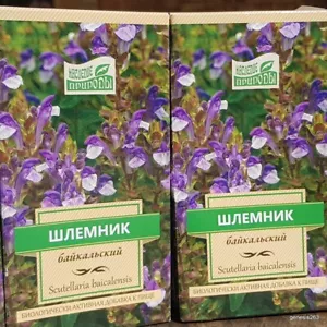 Baikal-Helmkraut-Raíz-30g--ScutellariaBaicalens (26EUR/100g) Original Russlan! - Imagen 1 de 5