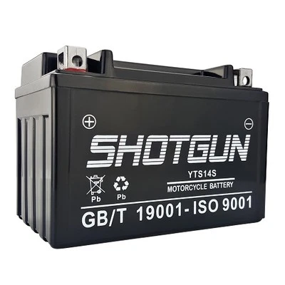 2013 - 2010 Honda Shadow RS 750 Model(s) Replacement YTZ14S Motorcycle Battery - Image 1 of 3