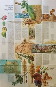 Close Up USA: California Nevada - National Geographic Society - 1974 - Picture 1 of 3