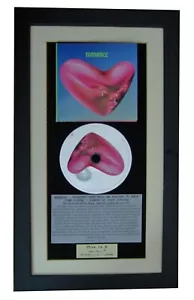 FONTAINES D.C. Romance CLASSIC CD ALBUM GALLERY QUALITY FRAMED+FAST WORLD SHIP - Imagen 1 de 8